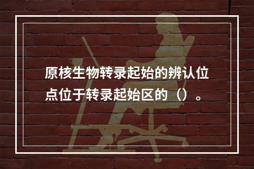 原核生物转录起始的辨认位点位于转录起始区的（）。