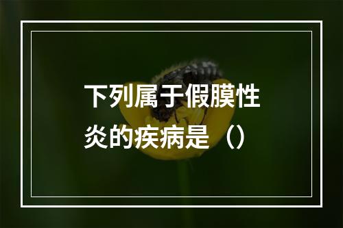 下列属于假膜性炎的疾病是（）