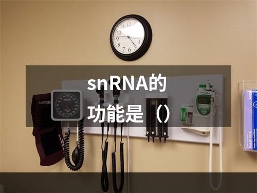 snRNA的功能是（）