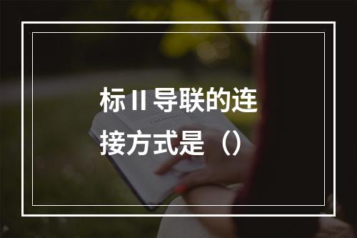 标Ⅱ导联的连接方式是（）