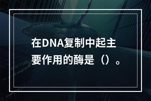 在DNA复制中起主要作用的酶是（）。