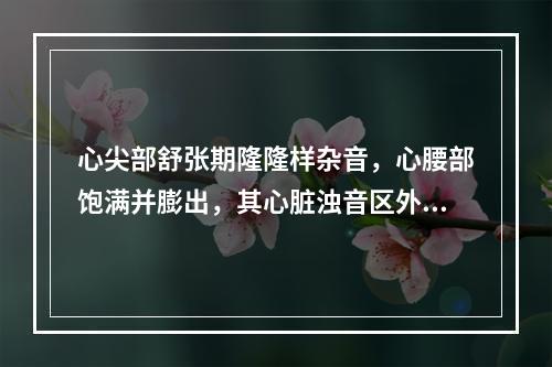 心尖部舒张期隆隆样杂音，心腰部饱满并膨出，其心脏浊音区外形为