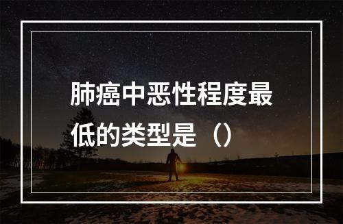 肺癌中恶性程度最低的类型是（）