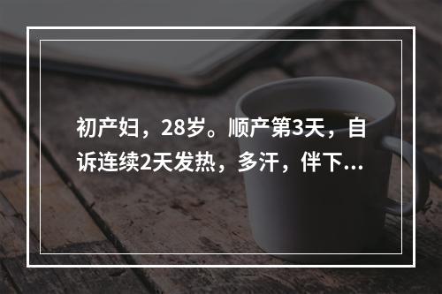 初产妇，28岁。顺产第3天，自诉连续2天发热，多汗，伴下腹阵