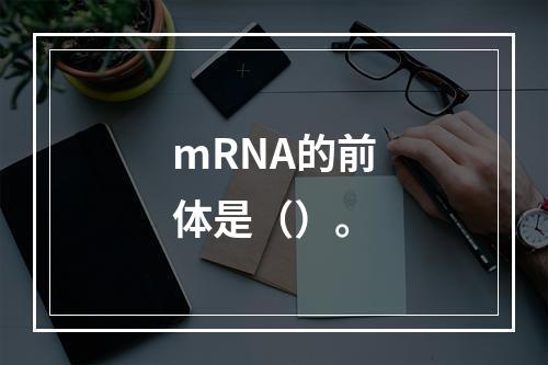 mRNA的前体是（）。