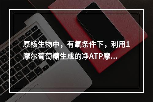 原核生物中，有氧条件下，利用1摩尔葡萄糖生成的净ATP摩尔数