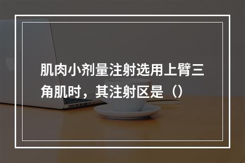 肌肉小剂量注射选用上臂三角肌时，其注射区是（）