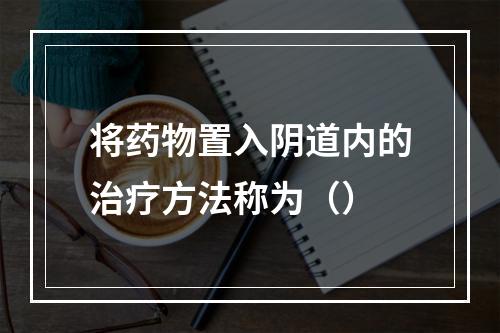 将药物置入阴道内的治疗方法称为（）