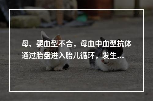 母、婴血型不合，母血中血型抗体通过胎盘进入胎儿循环，发生同种