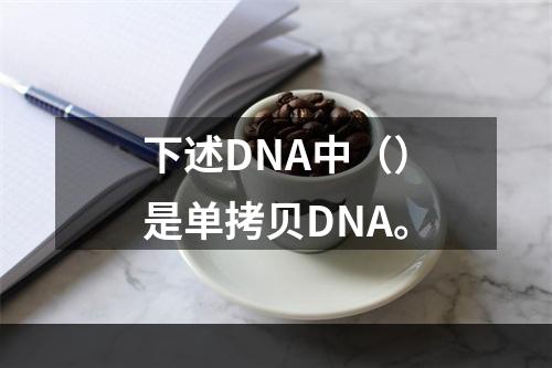 下述DNA中（）是单拷贝DNA。