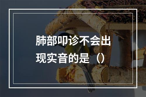 肺部叩诊不会出现实音的是（）