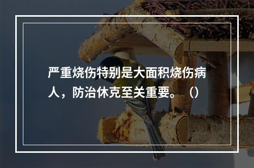 严重烧伤特别是大面积烧伤病人，防治休克至关重要。（）