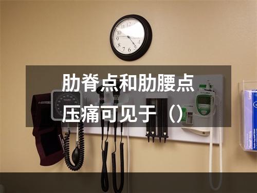 肋脊点和肋腰点压痛可见于（）