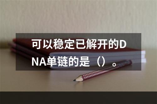 可以稳定已解开的DNA单链的是（）。