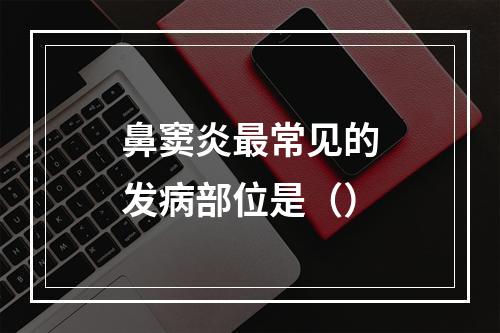 鼻窦炎最常见的发病部位是（）