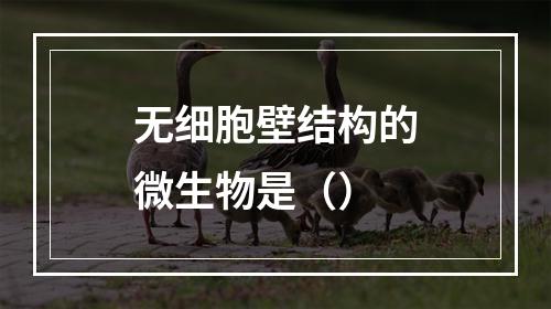 无细胞壁结构的微生物是（）