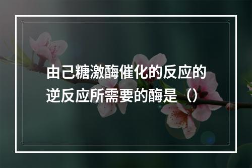 由己糖激酶催化的反应的逆反应所需要的酶是（）