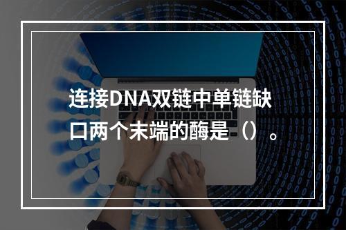 连接DNA双链中单链缺口两个末端的酶是（）。