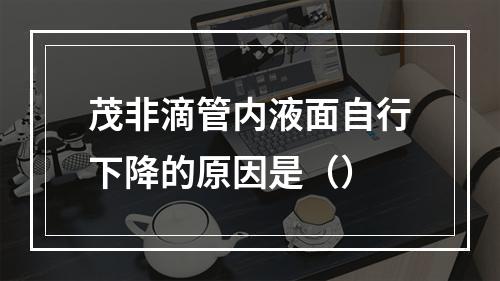 茂非滴管内液面自行下降的原因是（）