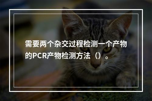 需要两个杂交过程检测一个产物的PCR产物检测方法（）。