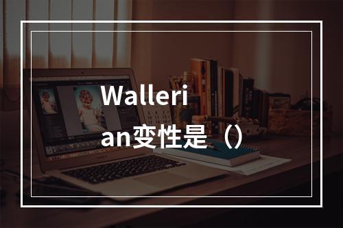 Wallerian变性是（）