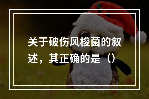 关于破伤风梭菌的叙述，其正确的是（）