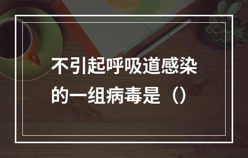 不引起呼吸道感染的一组病毒是（）