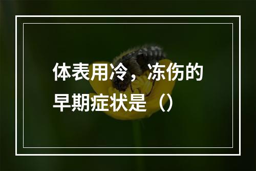 体表用冷，冻伤的早期症状是（）