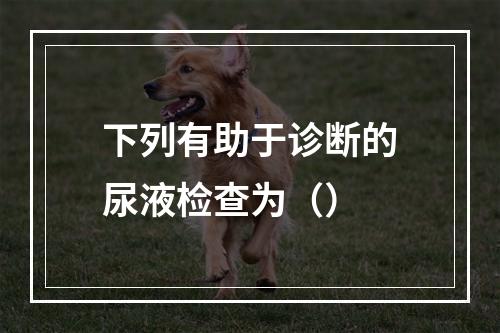 下列有助于诊断的尿液检查为（）