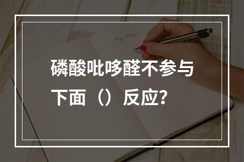 磷酸吡哆醛不参与下面（）反应？