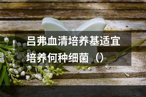 吕弗血清培养基适宜培养何种细菌（）