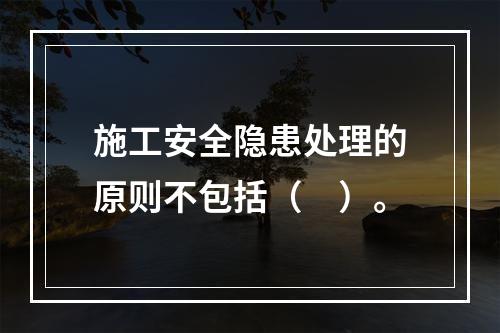 施工安全隐患处理的原则不包括（　）。