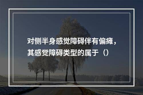 对侧半身感觉障碍伴有偏瘫，其感觉障碍类型的属于（）