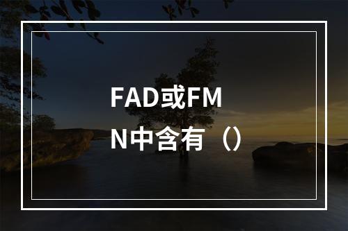 FAD或FMN中含有（）