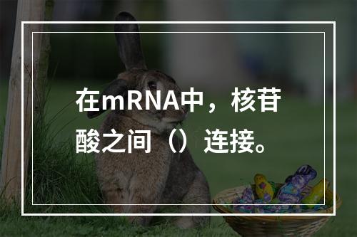 在mRNA中，核苷酸之间（）连接。