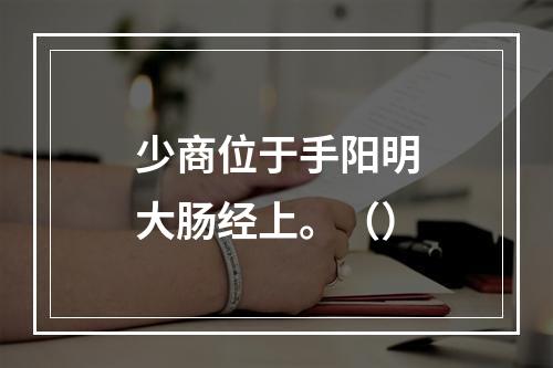 少商位于手阳明大肠经上。（）