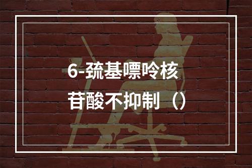 6-巯基嘌呤核苷酸不抑制（）