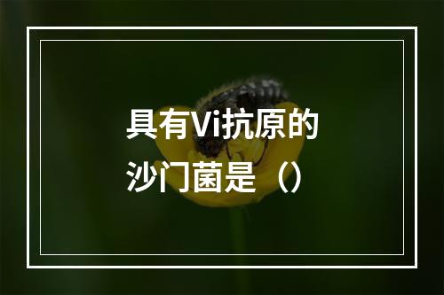 具有Vi抗原的沙门菌是（）