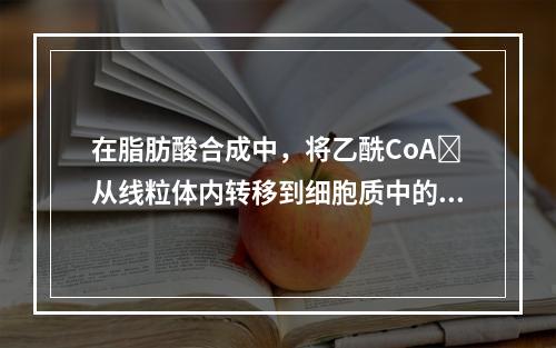 在脂肪酸合成中，将乙酰CoA从线粒体内转移到细胞质中的载体