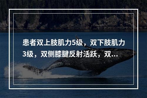 患者双上肢肌力5级，双下肢肌力3级，双侧膝腱反射活跃，双侧巴