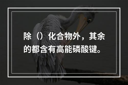 除（）化合物外，其余的都含有高能磷酸键。