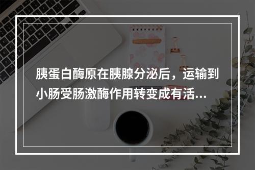 胰蛋白酶原在胰腺分泌后，运输到小肠受肠激酶作用转变成有活性的