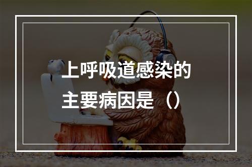 上呼吸道感染的主要病因是（）