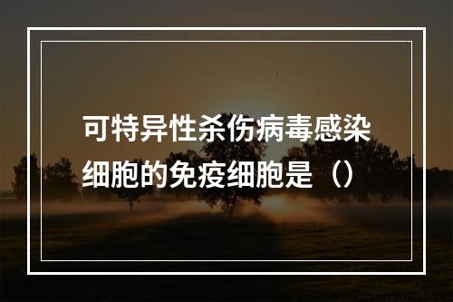 可特异性杀伤病毒感染细胞的免疫细胞是（）