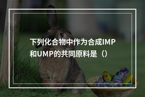 下列化合物中作为合成IMP和UMP的共同原料是（）