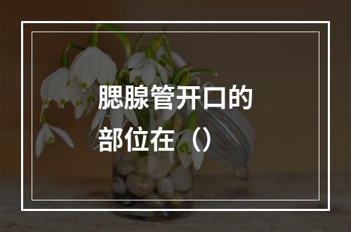 腮腺管开口的部位在（）