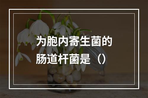 为胞内寄生菌的肠道杆菌是（）