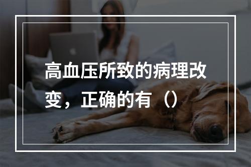 高血压所致的病理改变，正确的有（）