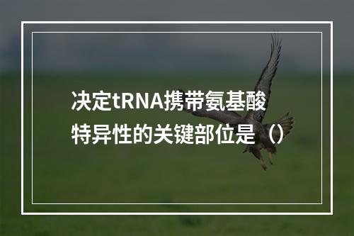 决定tRNA携带氨基酸特异性的关键部位是（）