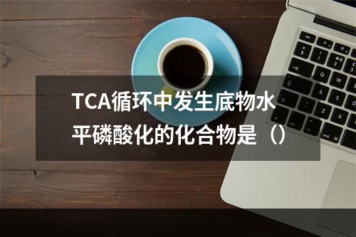 TCA循环中发生底物水平磷酸化的化合物是（）